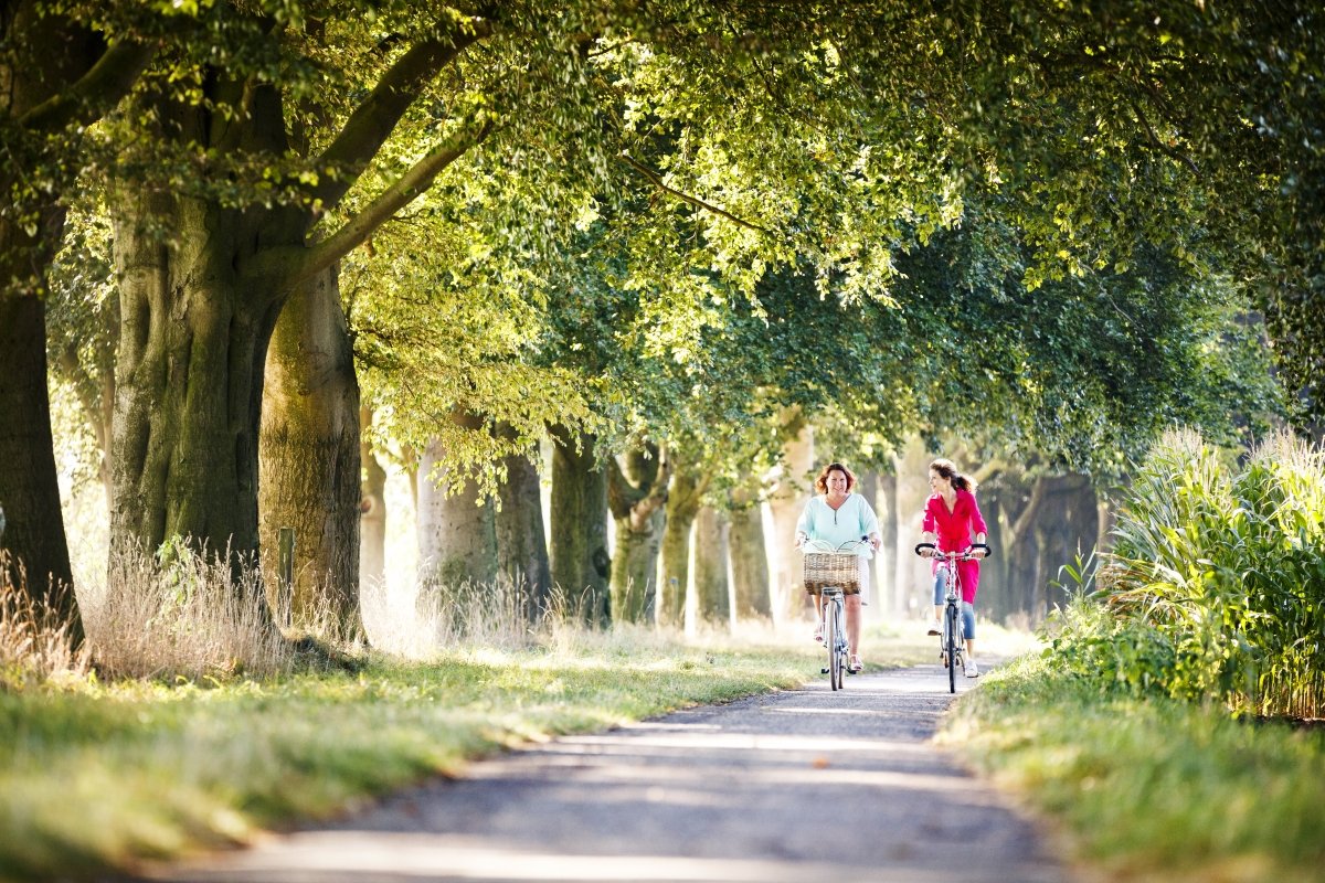 Fietsen Beukenlaantje 5105-Toerisme Rijssen-Holten_Z7A2548.jpg!(1200-800).jpg